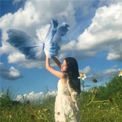 间谍过家家第二季